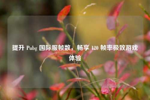 提升 Pubg 国际服帧数，畅享 120 帧率极致游戏体验