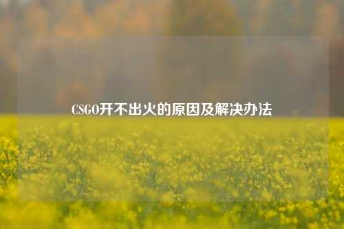 CSGO开不出火的原因及解决办法