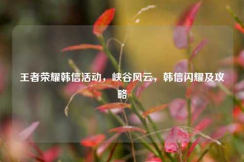 王者荣耀韩信活动，峡谷风云，韩信闪耀及攻略