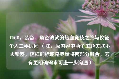 CSGO，装备、角色铸就的热血竞技之旅与仪征个人二手房网 （注，原内容中两个主题关联不太紧密，这样的标题是尽量将两部分融合，若有更明确需求可进一步沟通）