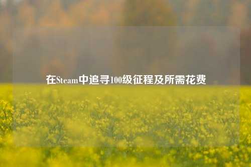 在Steam中追寻100级征程及所需花费