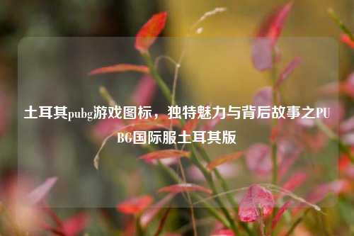 土耳其pubg游戏图标，独特魅力与背后故事之PUBG国际服土耳其版