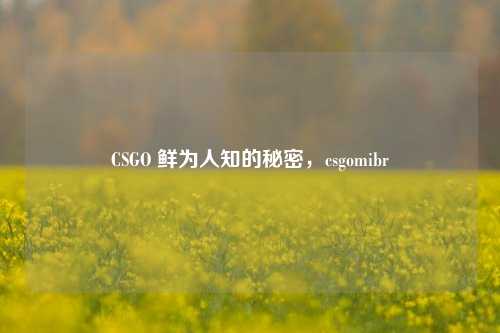 CSGO 鲜为人知的秘密，csgomibr