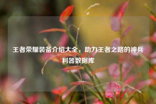 王者荣耀装备介绍大全，助力王者之路的神兵利器数据库