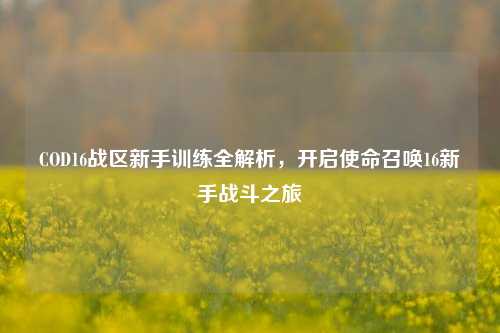COD16战区新手训练全解析，开启使命召唤16新手战斗之旅