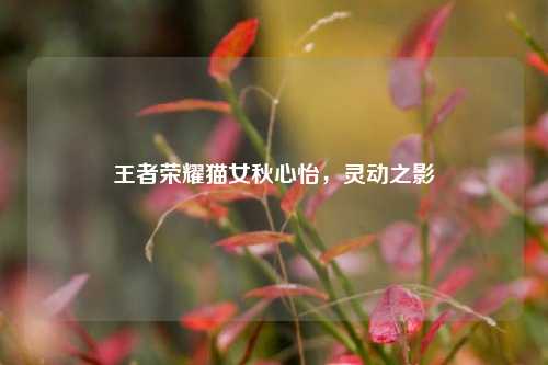 王者荣耀猫女秋心怡，灵动之影