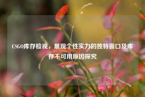 CSGO库存检视，展现个性实力的独特窗口及库存不可用原因探究