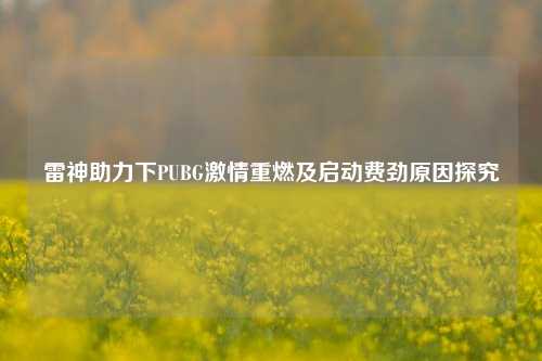 雷神助力下PUBG激情重燃及启动费劲原因探究