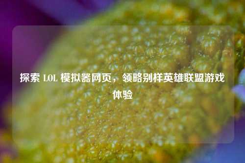 探索 LOL 模拟器网页，领略别样英雄联盟游戏体验