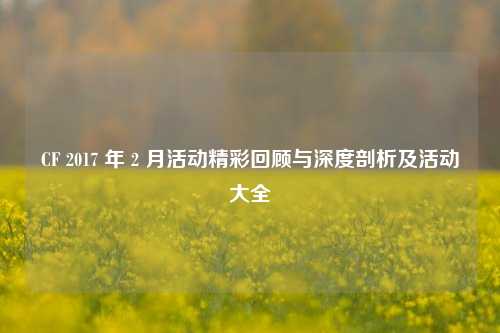 CF 2017 年 2 月活动精彩回顾与深度剖析及活动大全