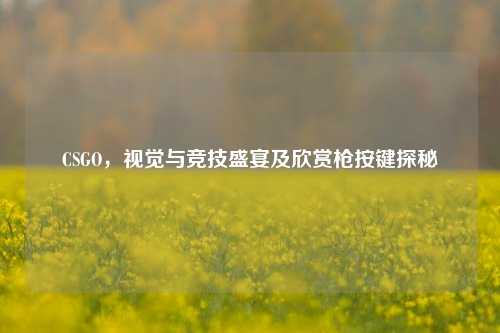 CSGO，视觉与竞技盛宴及欣赏枪按键探秘