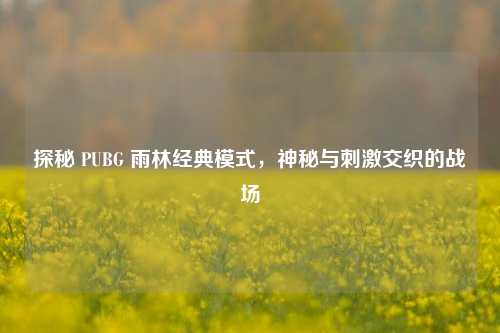 探秘 PUBG 雨林经典模式，神秘与刺激交织的战场