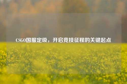 CSGO国服定级，开启竞技征程的关键起点
