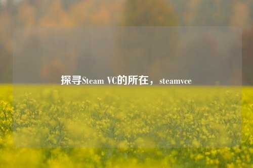 探寻Steam VC的所在，steamvce