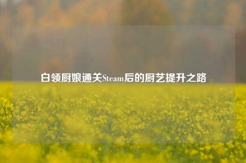 白领厨娘通关Steam后的厨艺提升之路