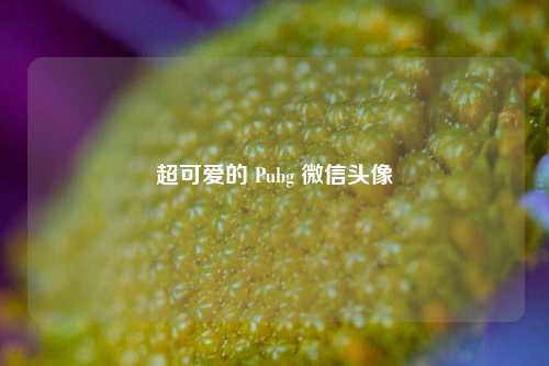 超可爱的 Pubg 微信头像