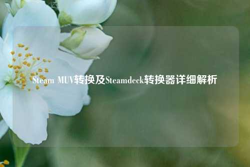 Steam MUV转换及Steamdeck转换器详细解析