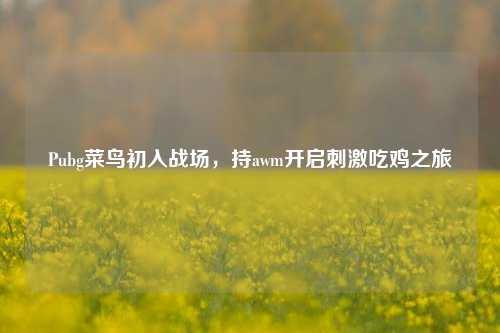 Pubg菜鸟初入战场，持awm开启刺激吃鸡之旅