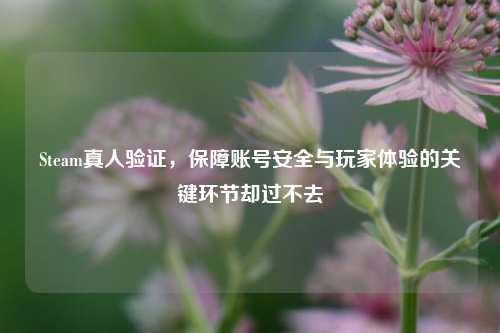 Steam真人验证，保障账号安全与玩家体验的关键环节却过不去