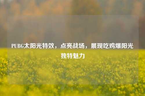 PUBG太阳光特效，点亮战场，展现吃鸡爆阳光独特魅力