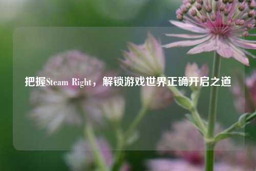 把握Steam Right，解锁游戏世界正确开启之道