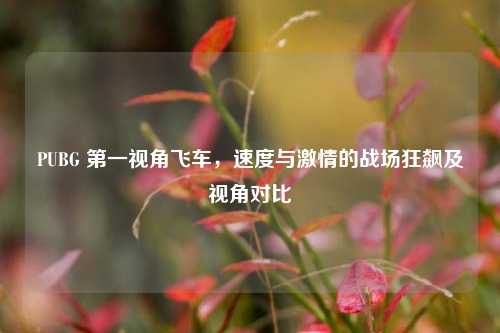 PUBG 第一视角飞车，速度与激情的战场狂飙及视角对比