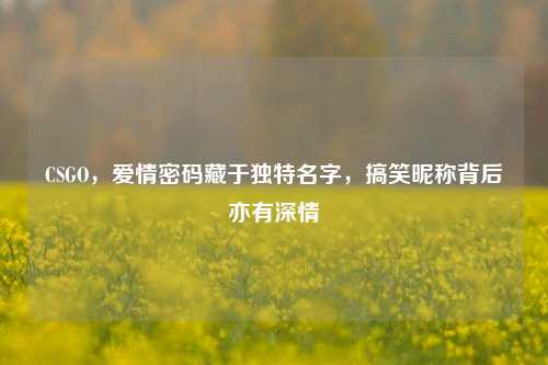 CSGO，爱情密码藏于独特名字，搞笑昵称背后亦有深情