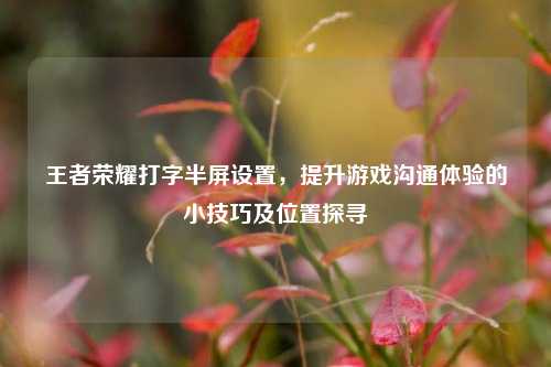 王者荣耀打字半屏设置，提升游戏沟通体验的小技巧及位置探寻