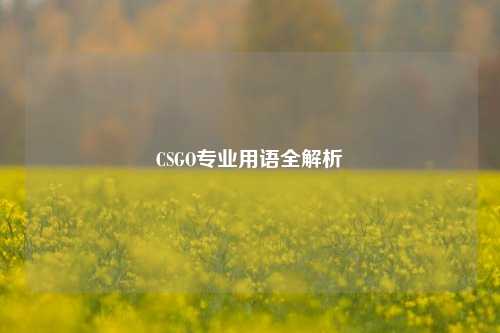 CSGO专业用语全解析