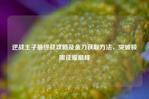 逆战王子最终战攻略及金刀获取方法，突破极限征服巅峰