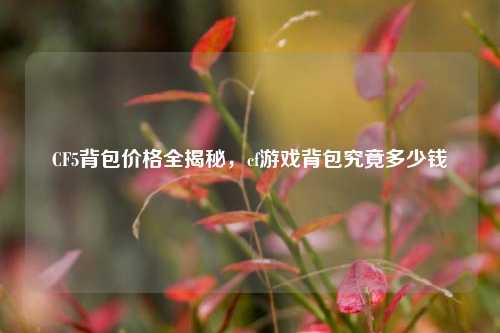 CF5背包价格全揭秘，cf游戏背包究竟多少钱
