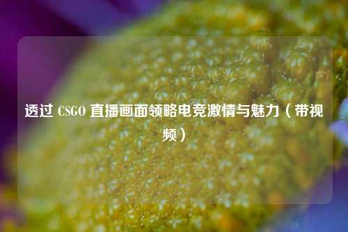 透过 CSGO 直播画面领略电竞激情与魅力（带视频）