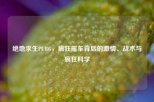 绝地求生PUBG，疯狂摇车背后的激情、战术与疯狂科学