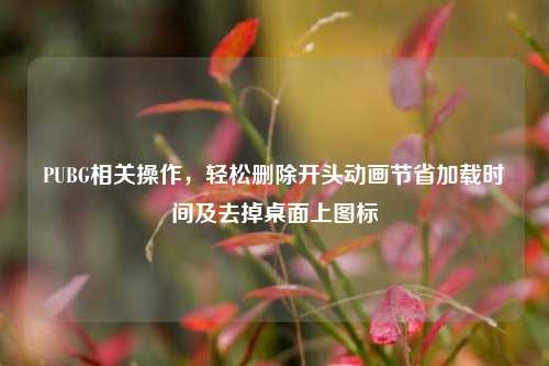 PUBG相关操作，轻松删除开头动画节省加载时间及去掉桌面上图标