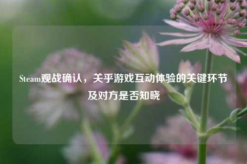 Steam观战确认，关乎游戏互动体验的关键环节及对方是否知晓