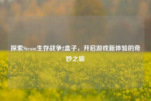 探索Steam生存战争2盒子，开启游戏新体验的奇妙之旅
