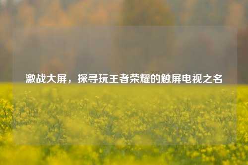 激战大屏，探寻玩王者荣耀的触屏电视之名