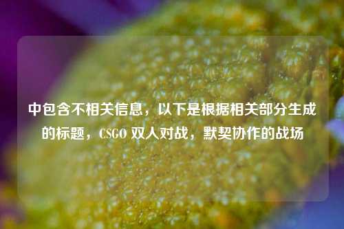 中包含不相关信息，以下是根据相关部分生成的标题，CSGO 双人对战，默契协作的战场