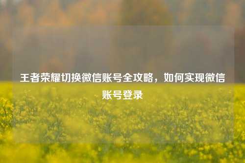 王者荣耀切换微信账号全攻略，如何实现微信账号登录