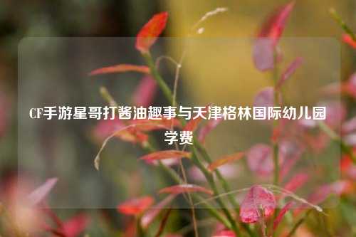 CF手游星哥打酱油趣事与天津格林国际幼儿园学费