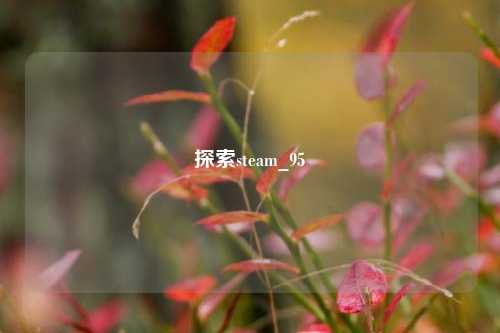 探索steam_95