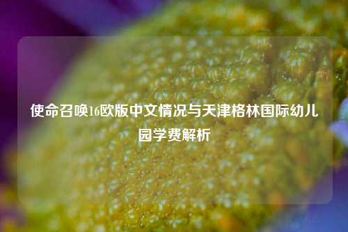 使命召唤16欧版中文情况与天津格林国际幼儿园学费解析