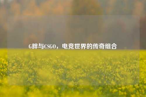 G胖与CSGO，电竞世界的传奇组合