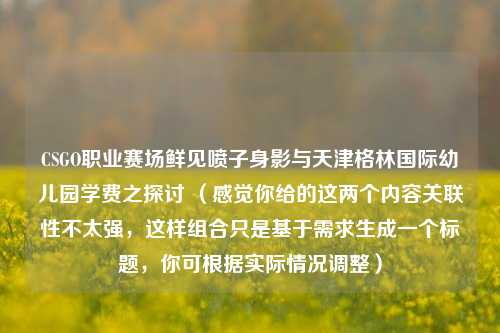 CSGO职业赛场鲜见喷子身影与天津格林国际幼儿园学费之探讨 （感觉你给的这两个内容关联性不太强，这样组合只是基于需求生成一个标题，你可根据实际情况调整）