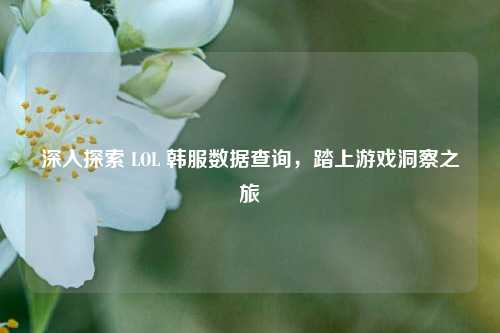 深入探索 LOL 韩服数据查询，踏上游戏洞察之旅