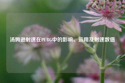 汤姆逊射速在PUBG中的影响、运用及射速数值