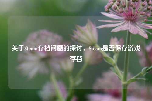 关于Steam存档问题的探讨，Steam是否保存游戏存档
