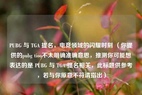 PUBG 与 TGA 提名，电竞领域的闪耀时刻 （你提供的pubg tioo不太明确准确意思，推测你可能想表达的是 PUBG 与 TGA 提名相关，此标题供参考，若与你原意不符请指出）