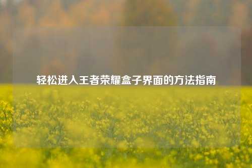 轻松进入王者荣耀盒子界面的方法指南