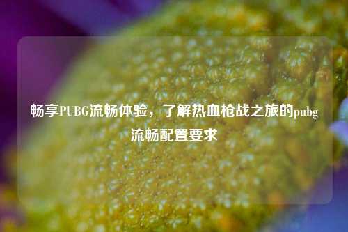 畅享PUBG流畅体验，了解热血枪战之旅的pubg流畅配置要求